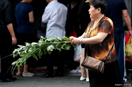 今年端午节哪天割艾草好？老人说“前三后四最合适”，有啥说法？（端午节割艾草的讲究视频）